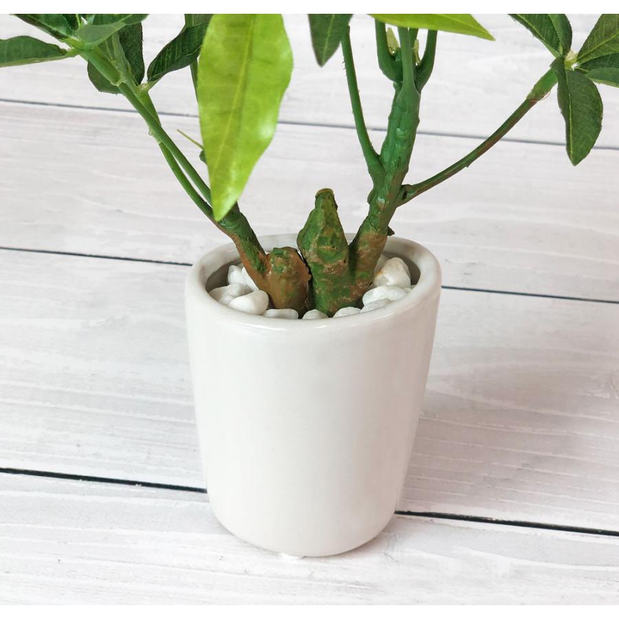 スリムパキラオーバルポット 観葉植物 フェイクグリーン 人工観葉植物
