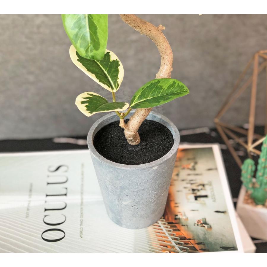 光触媒　人工観葉植物　フェイクグリーン　ツイストアルテシマ2.1m 光触媒 光の楽園 ツイストアルテシマ2.1m(組立式)【インテリア