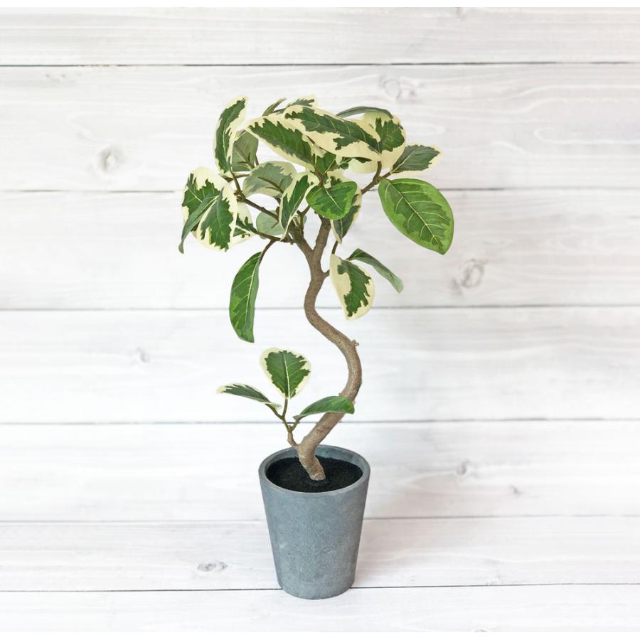 観葉植物 フェイクグリーン 人工観葉植物 フィカスアルテシマ 木