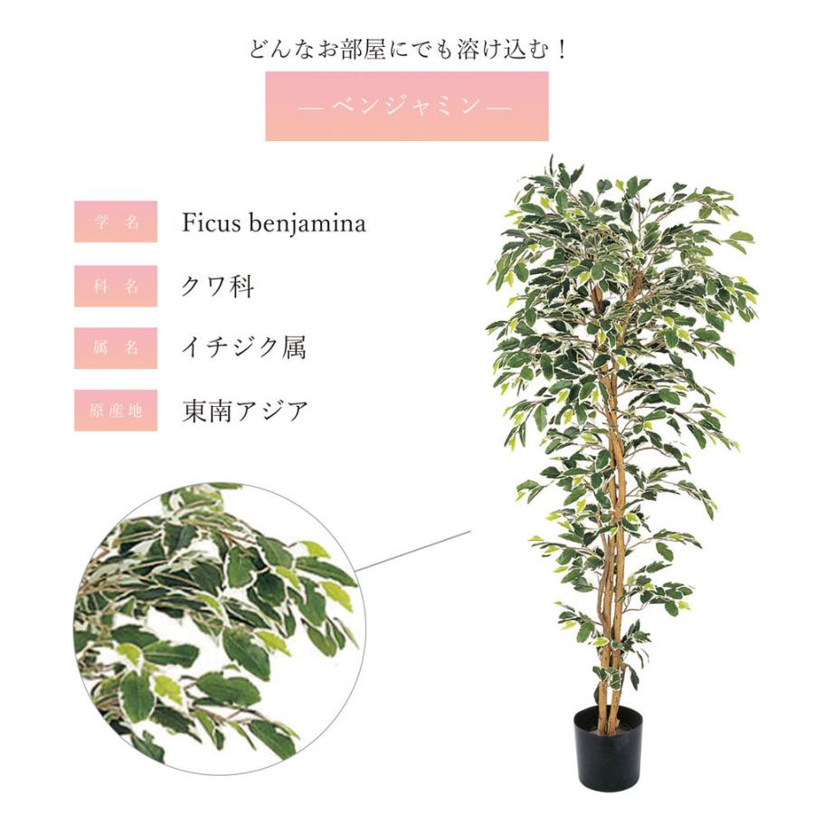 観葉植物 フェイクグリーン 人工観葉植物 ベンジャミン フィカス 造花 おしゃれ ツリー 店舗装飾 中型 フェイク グリーン インテリア 150cm 屋外の画像