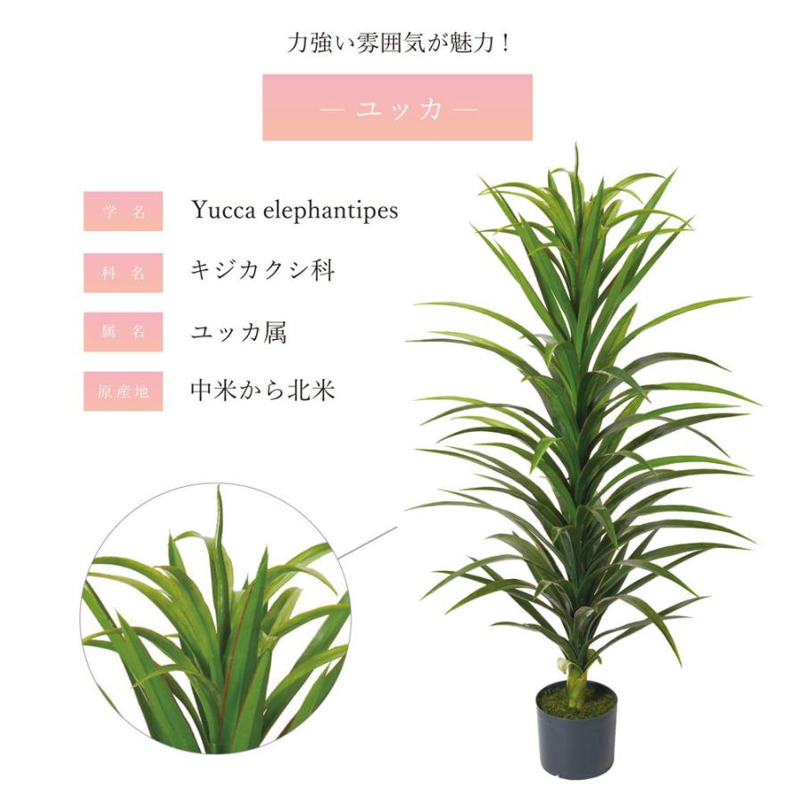 人気絶頂 観葉植物 フェイクグリーン 人工観葉植物 ユッカ ユッカリーフ 造花 おしゃれ ツリー 店舗装飾 小型 鉢付 フェイク グリーン インテリア 1cm 屋外 Glp1501 恵月人形本舗 通販 Yahoo ショッピング 値引きする Www Maxipiso Com Ar