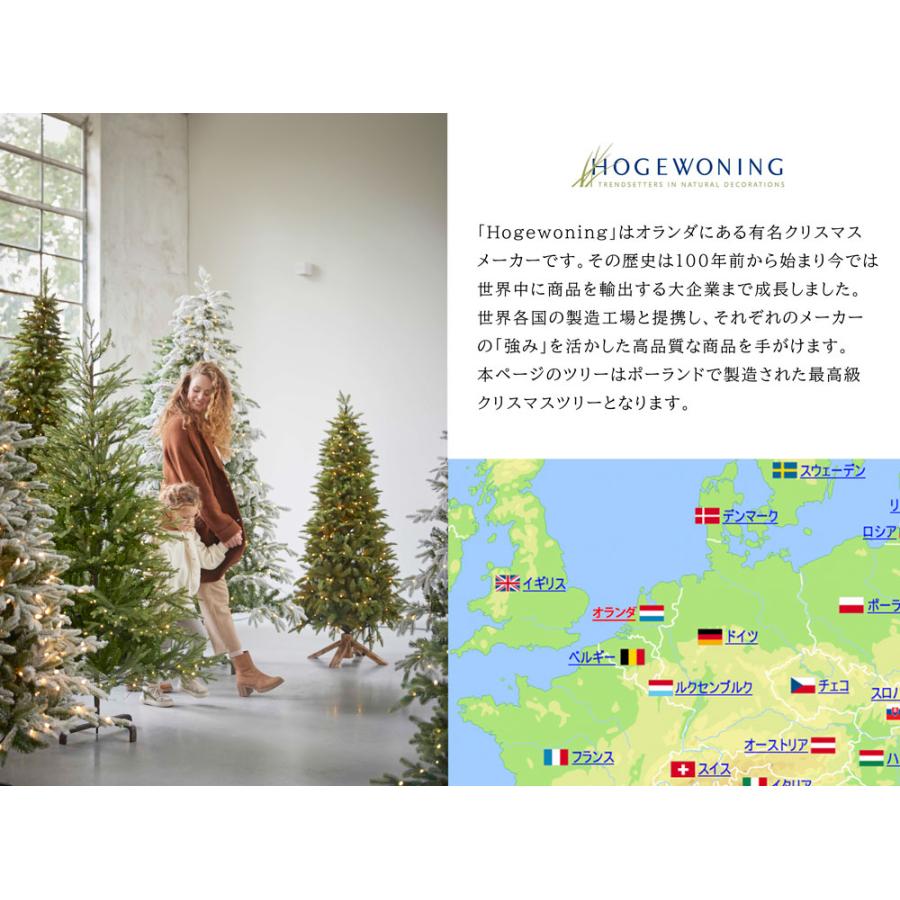 ヨーロッパメーカー「Hogewoning」製の高級クリスマスツリー ヨーロッパメーカー「Hogewoning」製の高級クリスマスツリー