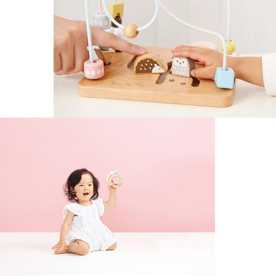 知育玩具 エドインター 木製 パステル おもちゃ 赤ちゃん ブロック