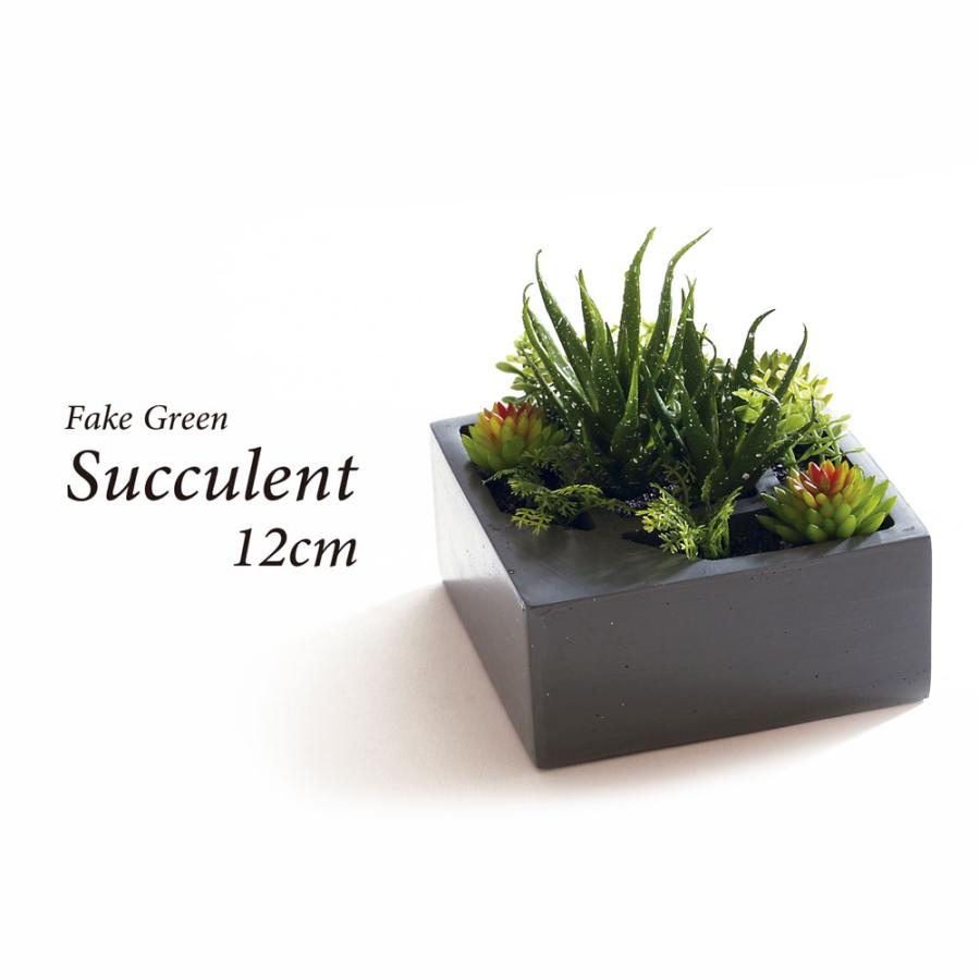 人工観葉植物 フェイクグリーン 観葉植物 造花 多肉植物 陶器鉢付 卓上 小型 フェイク グリーン インテリア おしゃれ お祝い 父の日 屋外 Mp107 恵月人形本舗 通販 Yahoo ショッピング