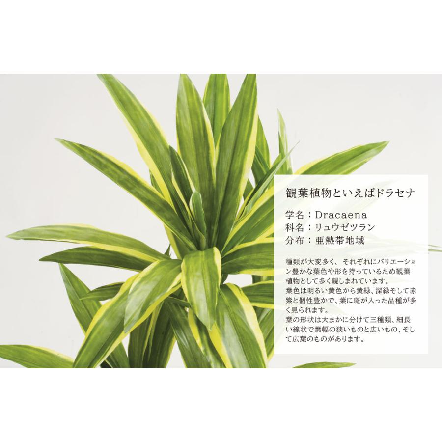 人工観葉植物 フェイクグリーン 観葉植物 造花 ドラセナ ツリー 人工観葉植物 フェイクグリーン 観葉植物 造花 ドラセナ ツリー