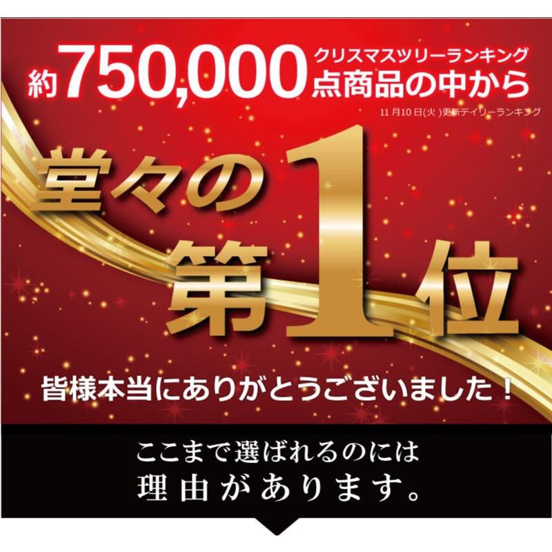クリスマスツリー 240cm 北欧 おしゃれ ウッドベースツリー ポット 飾り_1