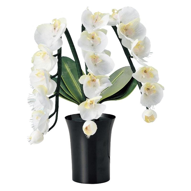 累計販売2万枚突破 盆提灯 岐阜提灯 花タイプ グランドルミナスstd 胡蝶蘭3本立 22 233 即納最大半額 Jollysjunk Com