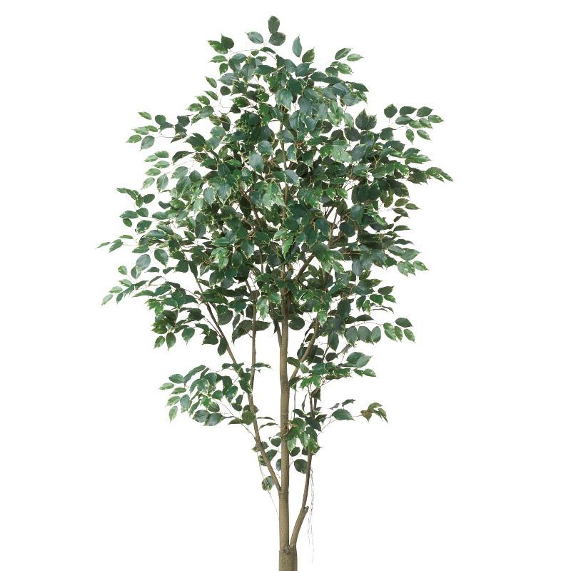 人工観葉植物 ファイカス （ポット付き） 高さ225cm （P278-a51045) （代引き不可） 限定新品通販激安 