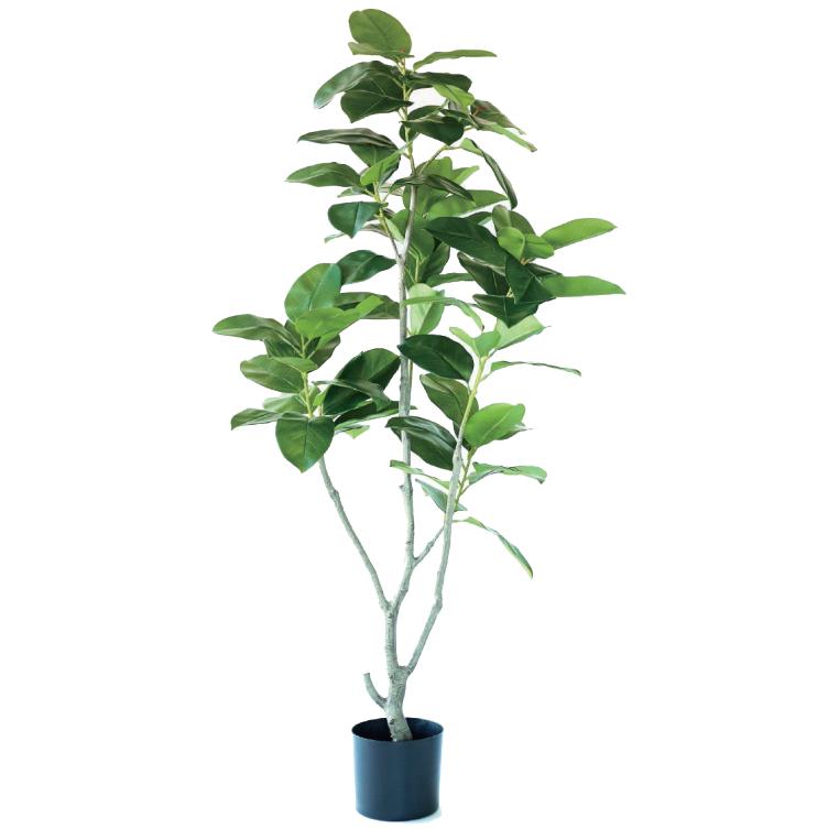 観葉植物 フィカス ベンガレンシス 170cm 人工観葉植物 フィカス ベンガレンシス ポット 170 （1個入り