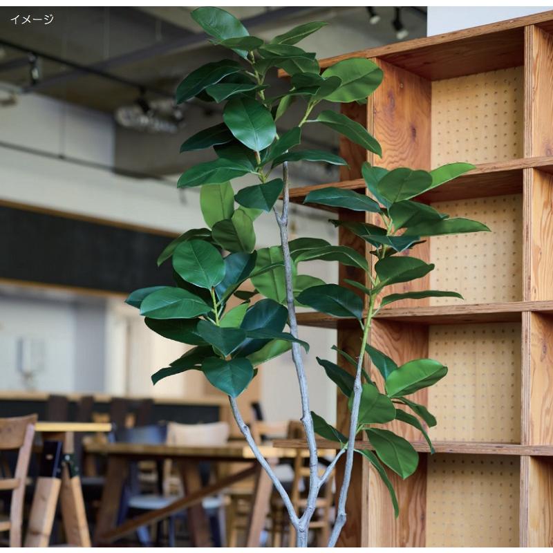人工観葉植物 フィカス ベンガレンシス ポット 170 （1個入り