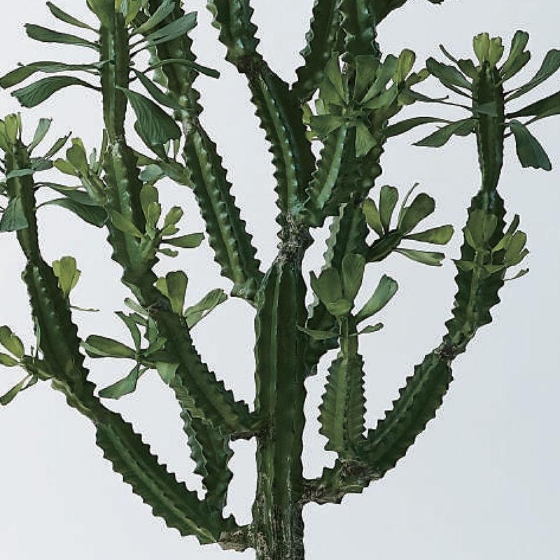 美品 人工観葉植物 ユーフォルビアポット147 （1個） bb490-0 （代引き不可） p107 【C8751412565】(31400円)