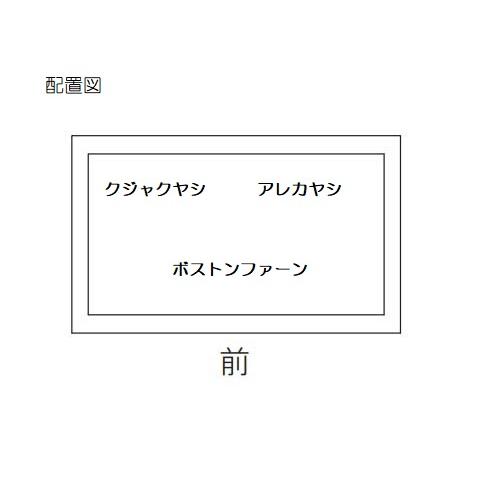 人工観葉植物 フルセット 中窓トールプランター（ブラック） /ヤシミックスプランツ （1セット） MIRAKANA_1