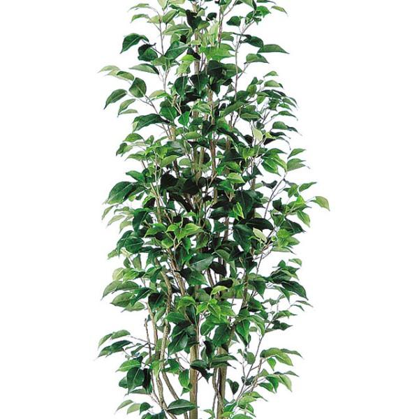 人工観葉植物 ベンジャミンスリム FST 180cm 高さ180cm （P209-dt98647) （代引き不可）_1
