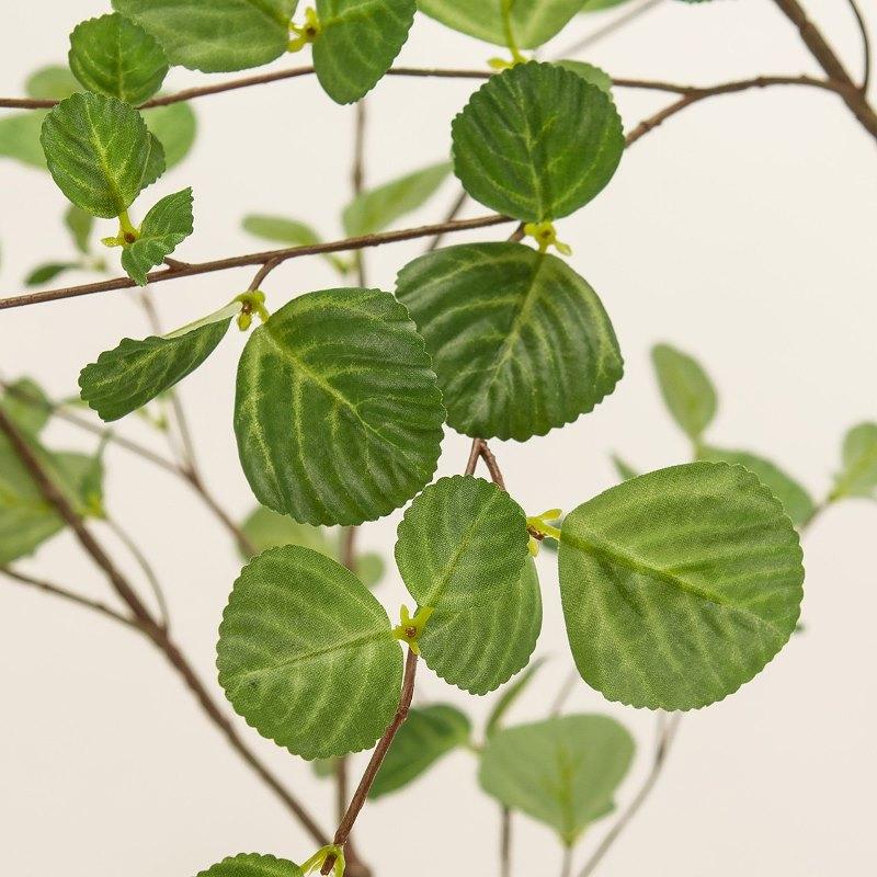 人工観葉植物 ヘーゼルナッツリーフ ポット 高さ180cm （P194-fg300671) （代引き不可）_1