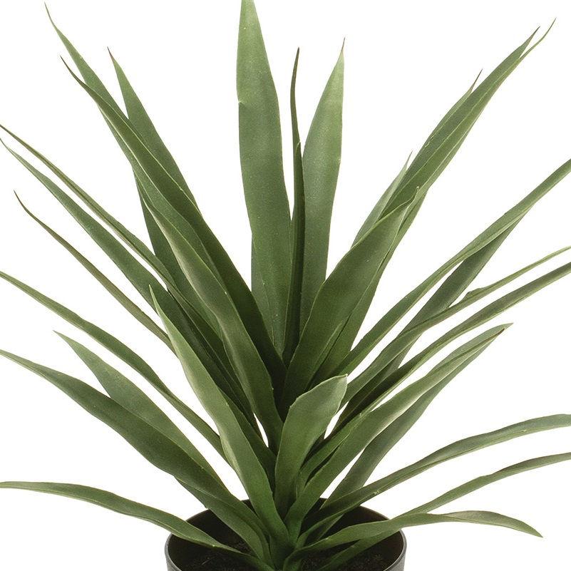 人工観葉植物 ワイルドアガベ ポット 高さ70cm （P202-fg301250) （代引き不可）の画像