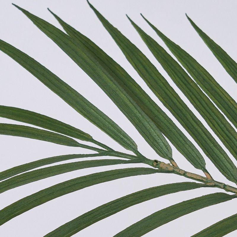 人工観葉植物 ワイルドパーム ポット 高さ180cm （P205-fg661) （代引き不可）_1