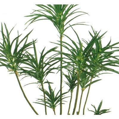 人工観葉植物 ユッカポット 光触媒加工 高さ90cm （P203-zv11707) （代引き不可）_2