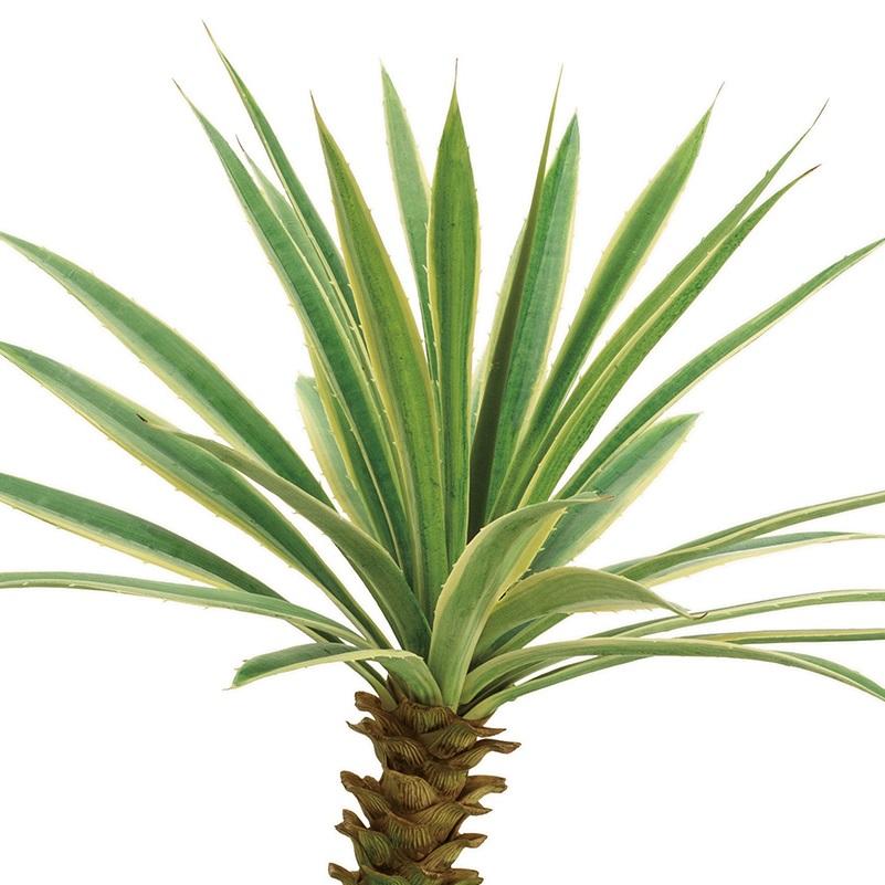人工観葉植物 ユッカ ポット 班入り 光触媒加工 高さ70cm （P202-zv292) （代引き不可）の画像