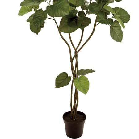 人工観葉植物 ウンベラータツイスト 5F 光触媒加工 高さ150cm （P198-zv5226) （代引き不可）_2