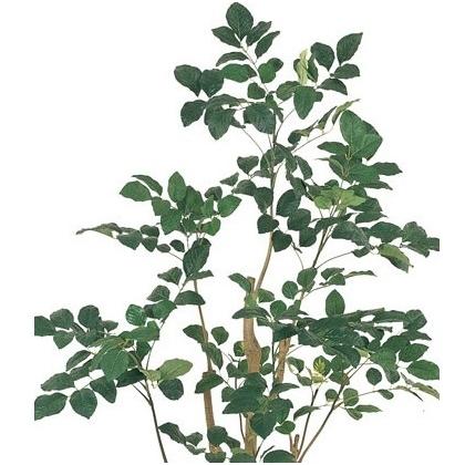 人工観葉植物 ポリシャス ポットM 光触媒加工 高さ150cm （P201-zv88210) （代引き不可）_1