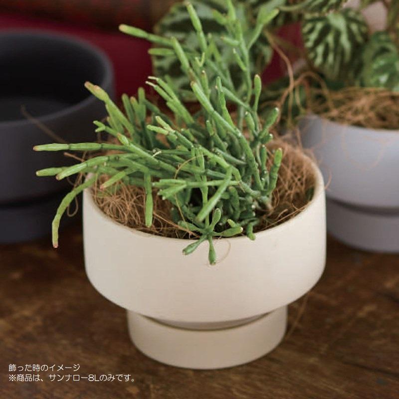 花・観葉草木用ポット サンナ 置き目 8 L 6個入り口・入口 84049 （代引っ張ること不可） p19