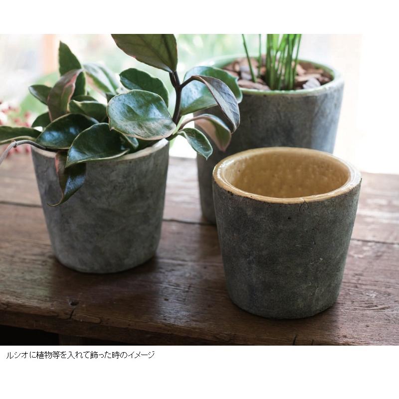 正規品 園芸 インテリア ポット ルシオ 15 ホワイト 6個セット 99017 （代引き不可） p77 【B2068394782】(11713円)
