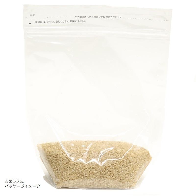 令和7年産 ヒノヒカリ 兵庫県産 ひのひかり 玄米0.5kg・0.9kg・2kg