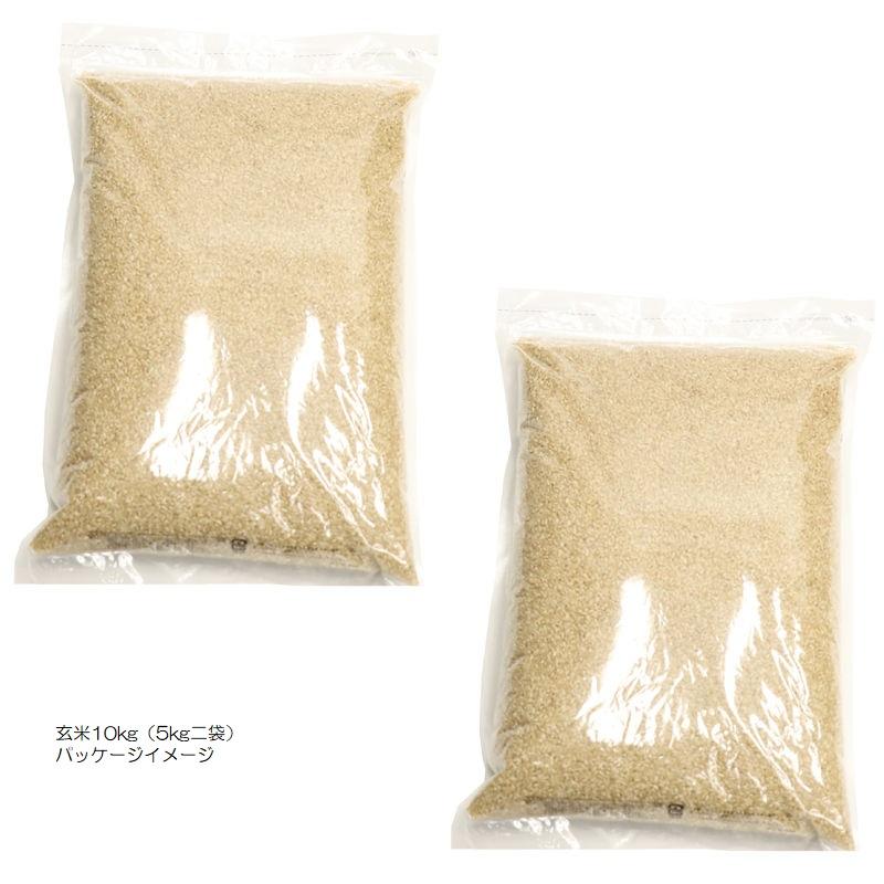 令和7年産 ヒノヒカリ 兵庫県産 ひのひかり 玄米0.5kg・0.9kg・2kg