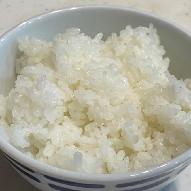 白米 お米 20㎏ 精米済み キヌヒカリ 減農薬 【公式通販】