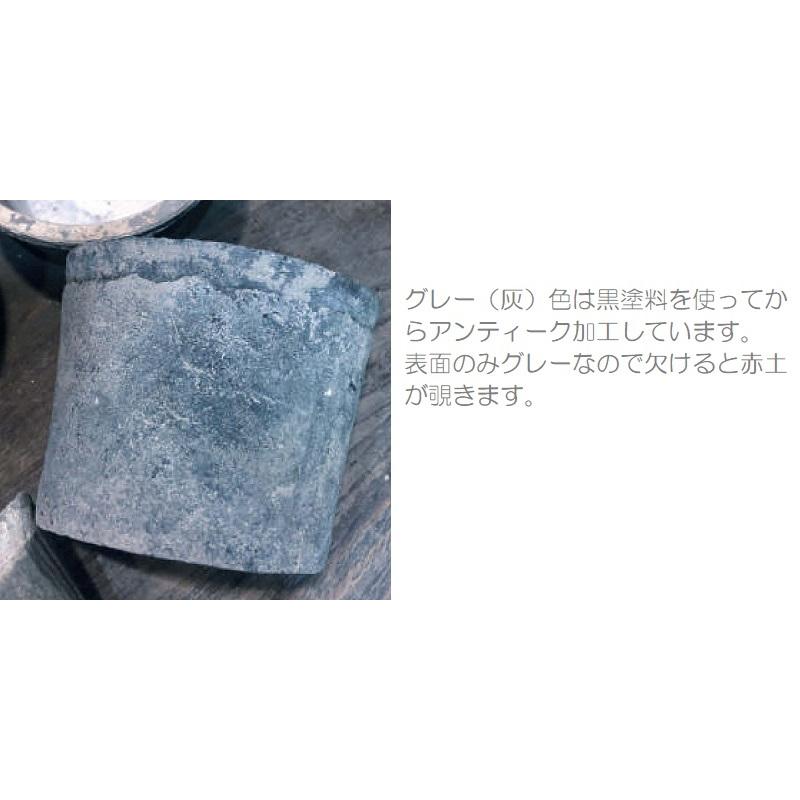 花・観葉草木用ポット モスポット 判定基準 薄墨色 S 5号 18個入り口・入口 ms-100b05e [KTp327]（代引っ張ること不可）