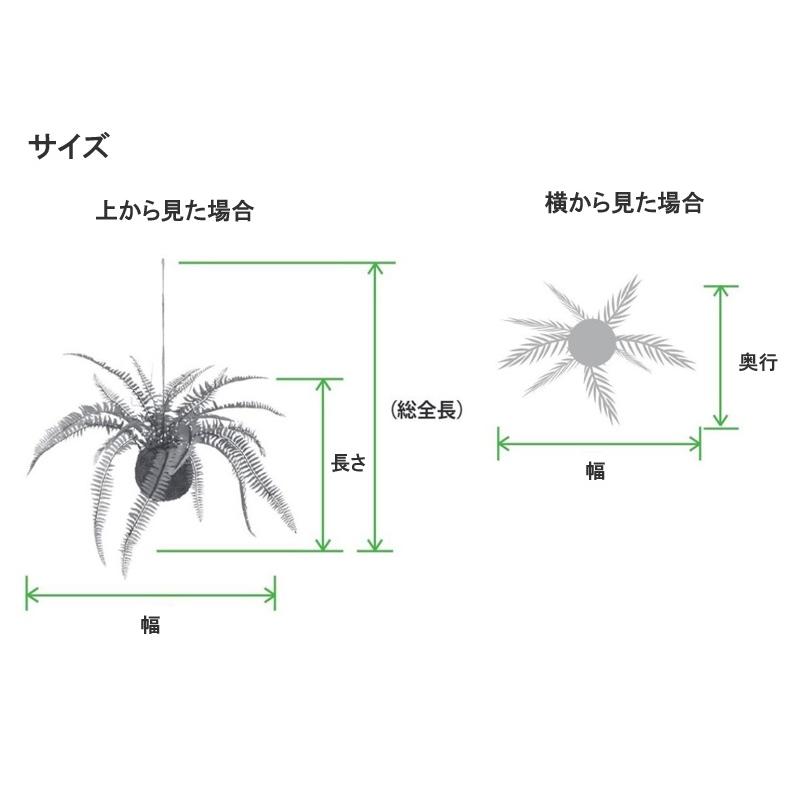 人工観葉植物 チランジア モスボール ハンキング 長さ23cm （P21-99551) （代引き不可）｜ningyou｜02