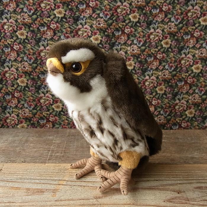 ハンサ Hansa ハヤブサ25 ぬいぐるみ 本物 そっくり リアル ペット メモリアル 鳥 インコ オウム N Cn Bh3079 ニニアンドキノ Yahoo 店 通販 Yahoo ショッピング