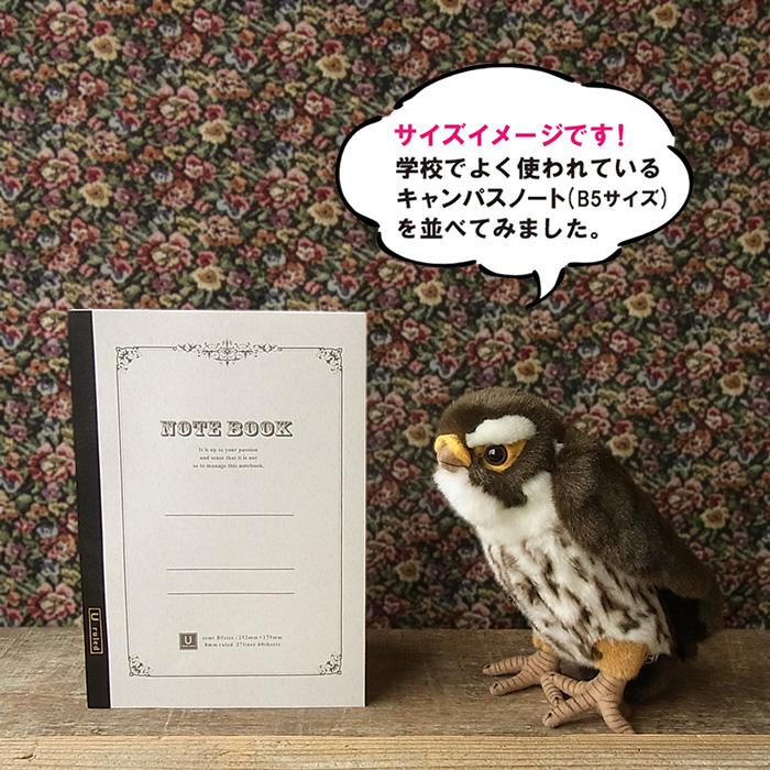ハンサ Hansa ハヤブサ25 ぬいぐるみ 本物 そっくり リアル ペット メモリアル 鳥 インコ オウム N Cn Bh3079 ニニアンドキノ Yahoo 店 通販 Yahoo ショッピング