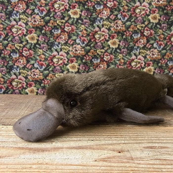 簡易ラッピングでお届け ハンサ Hansa カモノハシ40 ぬいぐるみ 本物 そっくり リアル ペット メモリアル N Cn Bh3250 ニニアンドキノ Yahoo 店 通販 Yahoo ショッピング