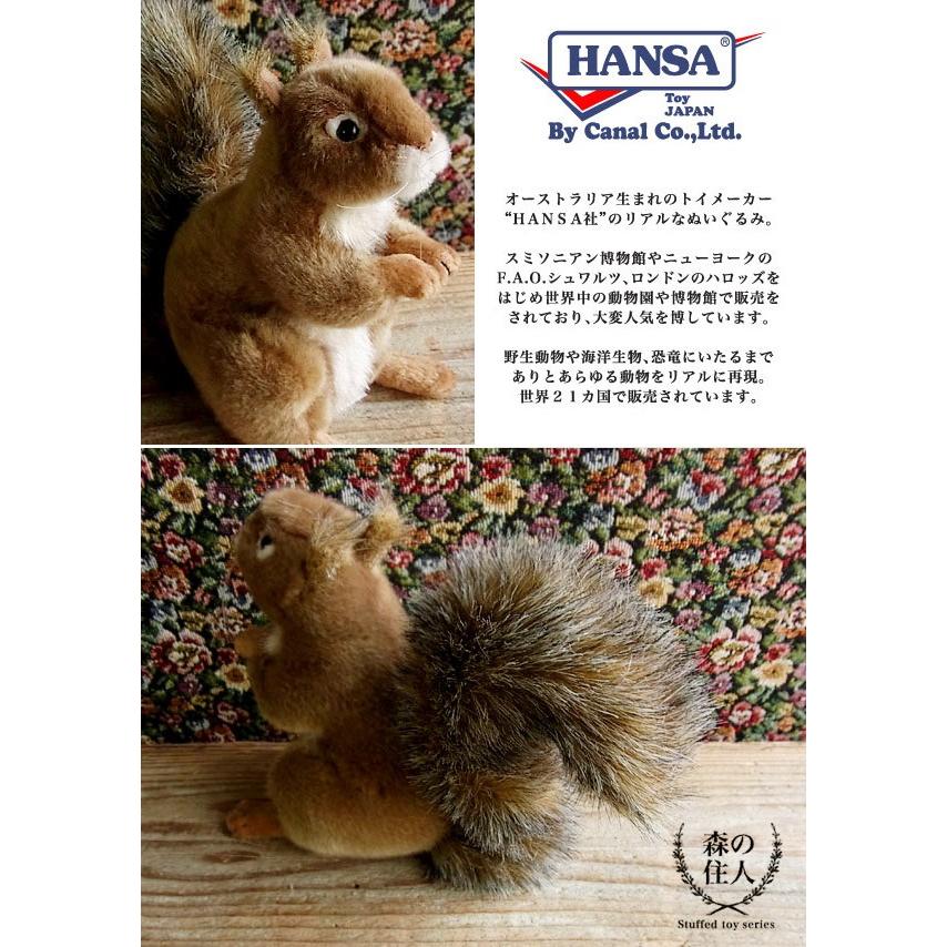 ハンサ Hansa アカリス ぬいぐるみ 本物 そっくり リアル ペット メモリアル N Cn Bh3395 ニニアンドキノ Yahoo 店 通販 Yahoo ショッピング