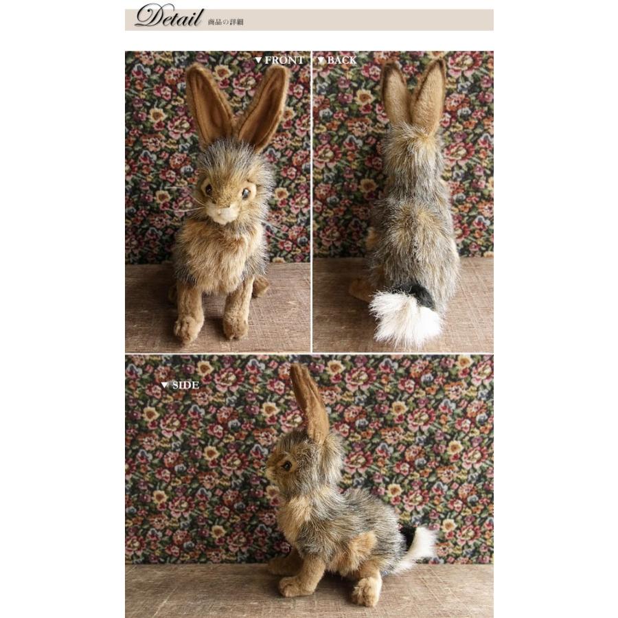 HANSA ハンサ オウム色違い4匹セット ぬいぐるみ HANSA BH3324 オウム