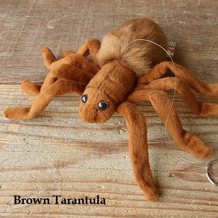 ハンサ Hansa タランチュラ21 ブラウン ぬいぐるみ 本物 そっくり リアル ペット メモリアル 昆虫 N Cn Bh4726 ニニアンドキノ Yahoo 店 通販 Yahoo ショッピング