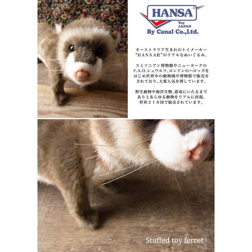 HANSA 【HANSA フェレット56 ぬいぐるみ】ふぇれっと ハンサ リアル