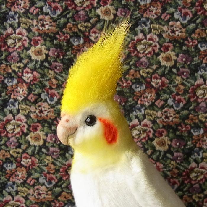簡易ラッピングでお届け ハンサ Hansa オカメインコ ルチノー23 ぬいぐるみ 本物 そっくり リアル ペット メモリアル 鳥 インコ オウム N Cn Bh6457 ニニアンドキノ Yahoo 店 通販 Yahoo ショッピング