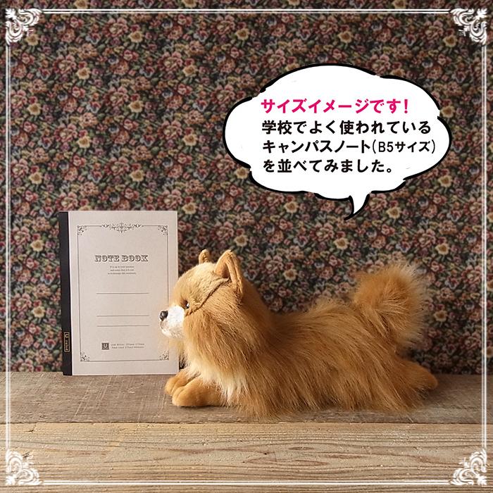 ニニアンドキノ ぬいぐるみ 犬 リアル 寝そべりわんこ ポメラニアン