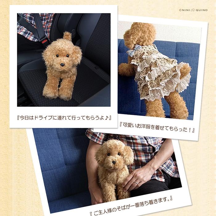 ニニアンドキノ ぬいぐるみ 犬 リアル トイプードル (アプリコット) 自由にポーズが変えられる 全長約33cm 本物 そっくり ペット |  | 06