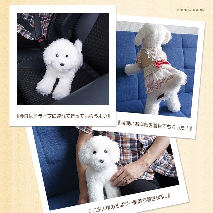 簡易ラッピングでお届け 実物大 トイプードル33cm 白 ホワイト ぬいぐるみ 本物 そっくり リアル ペット メモリアル 犬 いぬ イヌ N Nq Tp33 Wh ニニアンドキノ Yahoo 店 通販 Yahoo ショッピング