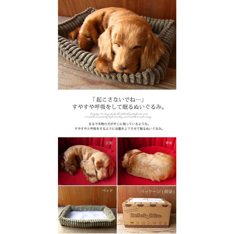 ニニアンドキノ ぬいぐるみ 犬 リアル パーフェクトペット (小サイズ