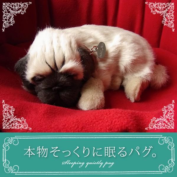 ニニアンドキノ ぬいぐるみ 犬 リアル パーフェクトペット (小サイズ