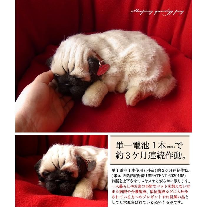 ニニアンドキノ ぬいぐるみ 犬 リアル パーフェクトペット (小サイズ