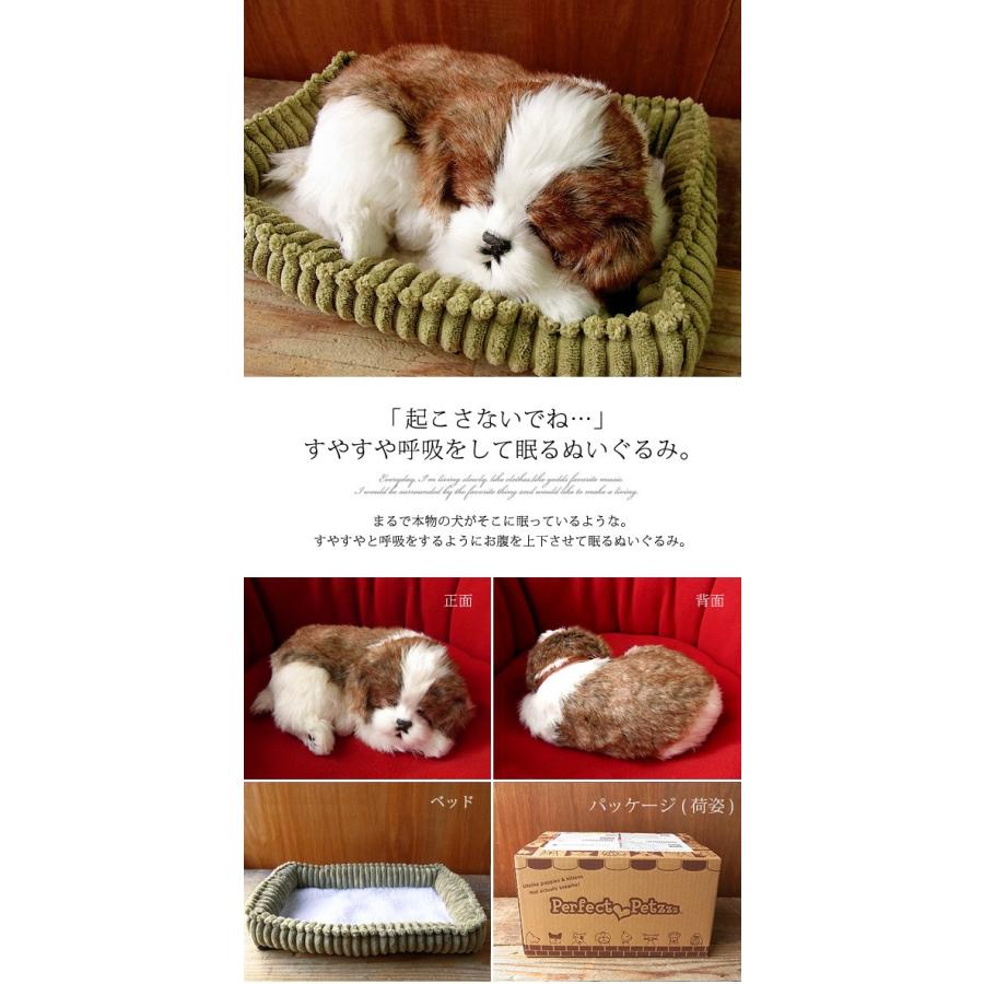 パーフェクトペット シーズー ぬいぐるみ 犬 イヌ いぬ ぬいぐるみ リアル 本物 そっくり ペット N Uc 6934 ニニアンドキノ Yahoo 店 通販 Yahoo ショッピング