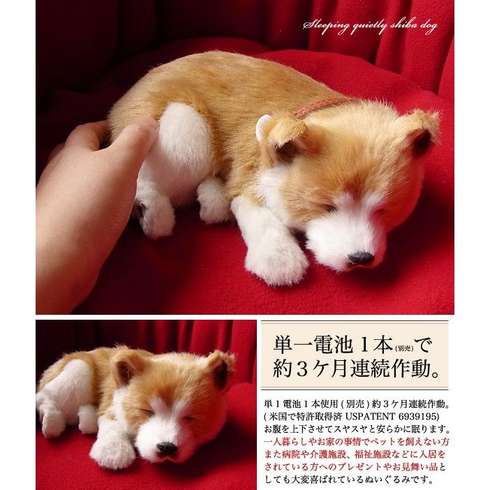 ニニアンドキノ パーフェクトペット (小サイズ) 柴犬 犬 いぬ イヌ リアル 本物 そっくり 雑貨 動物 アニマル 癒し 動く プレゼント ギフト お祝い かわいい 犬｜niniquino｜03