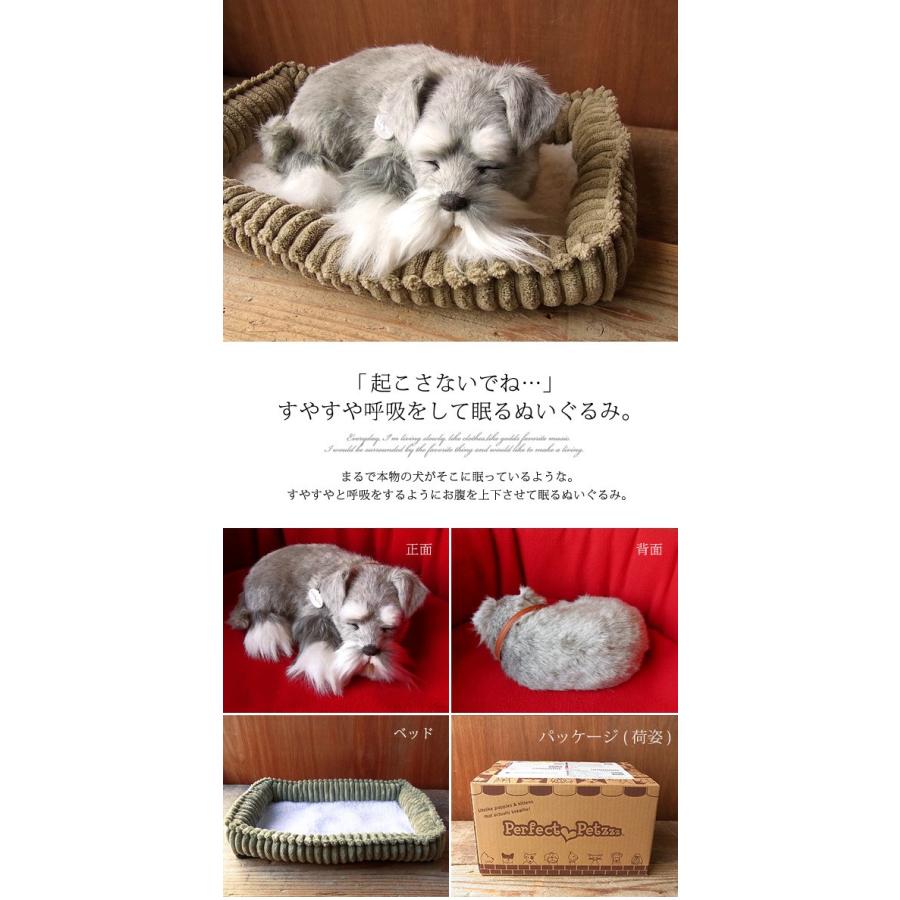 ニニアンドキノ パーフェクトペット (小サイズ) シュナウザー