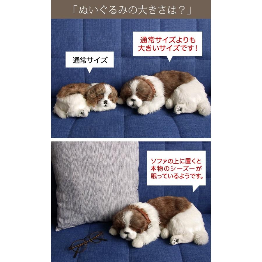 ニニアンドキノ パーフェクトペット (大サイズ) シーズー ぬいぐるみ