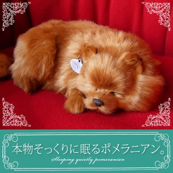 国内即発送 パーフェクトペット ポメラニアン ぬいぐるみ 犬 いぬ イヌ リアル 本物 そっくり Materialworldblog Com
